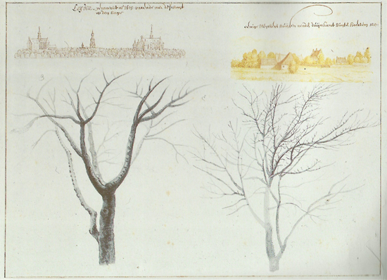 views of Leiden and Haarlem and Two Trees, Saenredam