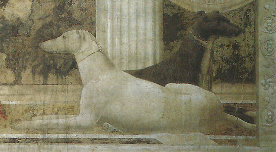 Sigismondo Malatesta, Piero della Francesca