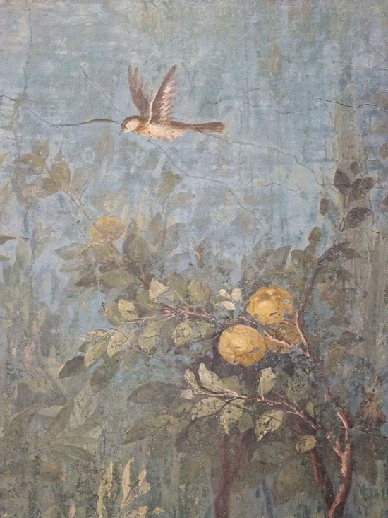 Bird flying over a tree, Villa Livia, Palazzo Massimo, Rome