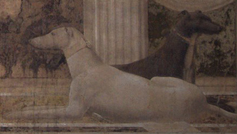 piero della francesca malatesta's dogs