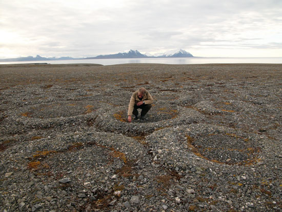 Stone polygons,Svalbard