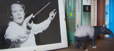 stockhausen and tapir