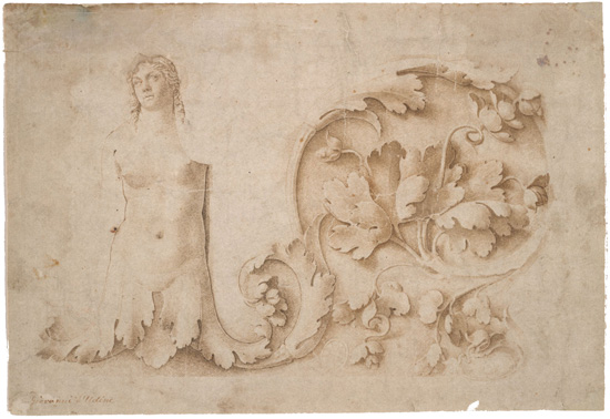study for a frieze with acathus and siren
